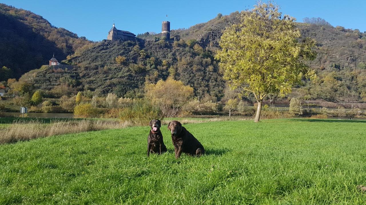 Ferienhaus Leopold Mit Burgblick An Der Mosel Burgen  Zewnętrze zdjęcie