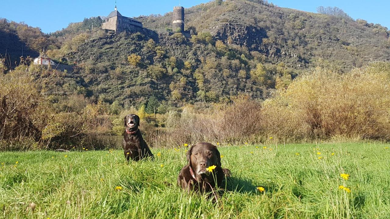 Ferienhaus Leopold Mit Burgblick An Der Mosel Burgen  Zewnętrze zdjęcie
