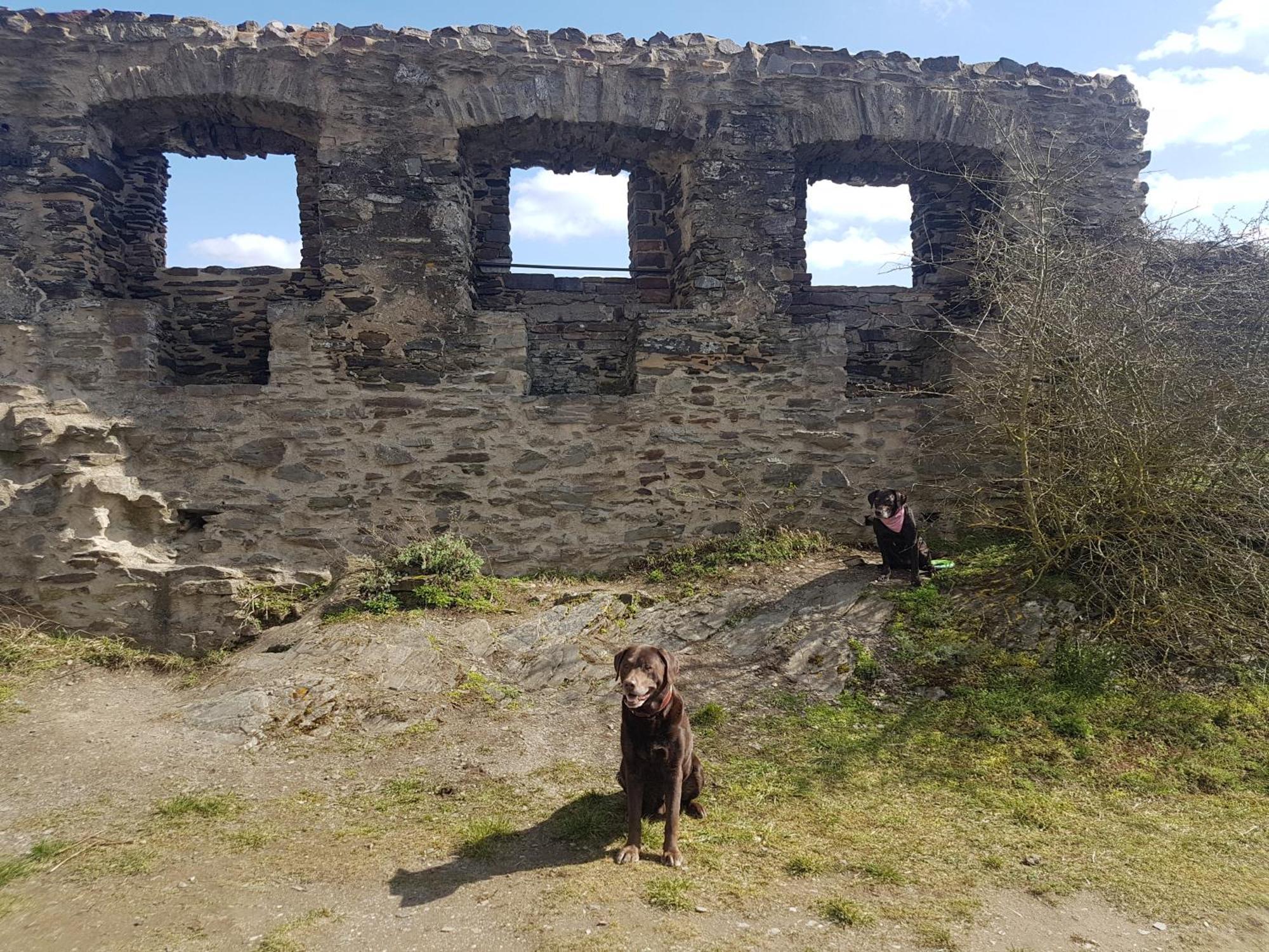 Ferienhaus Leopold Mit Burgblick An Der Mosel Burgen  Zewnętrze zdjęcie